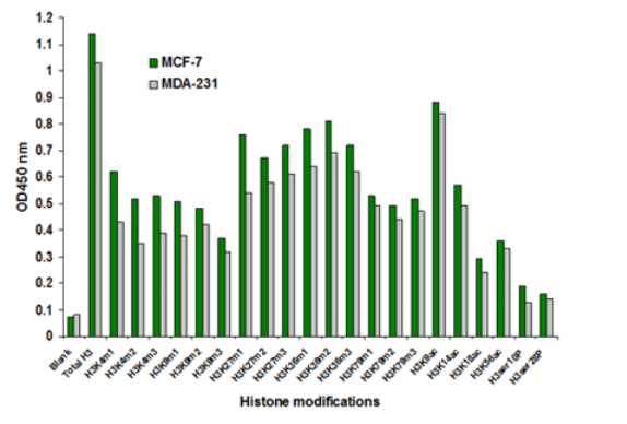 EpiQuik Histone H3 Modification Multiplex Assay Kit (Colorimetric) - 96 assays