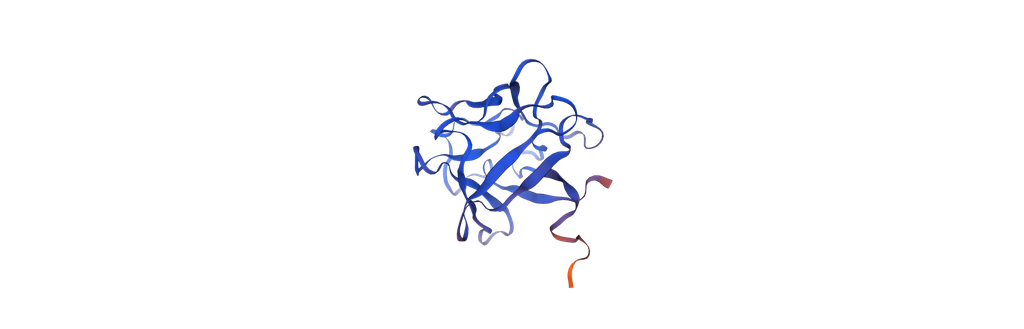 [1048-HYC005M01-10MG] Recombinant Human Basic Fibroblast Growth Factor (OsrhbFGF) - 10 mg