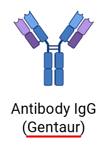Histone H3K9me3 (H3K9 Trimethyl) Polyclonal Antibody - 50 µl