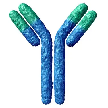 [0608-MA1081-M] Monoclonal anti-pan cytoceratin, PCK Magnetic Bead conjugate