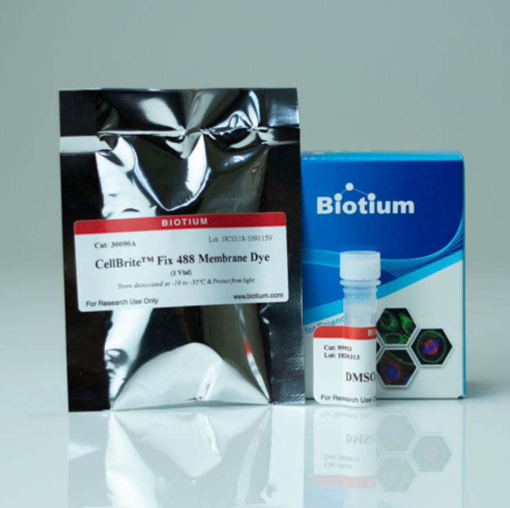 CellBrite Fix 640, 1vial