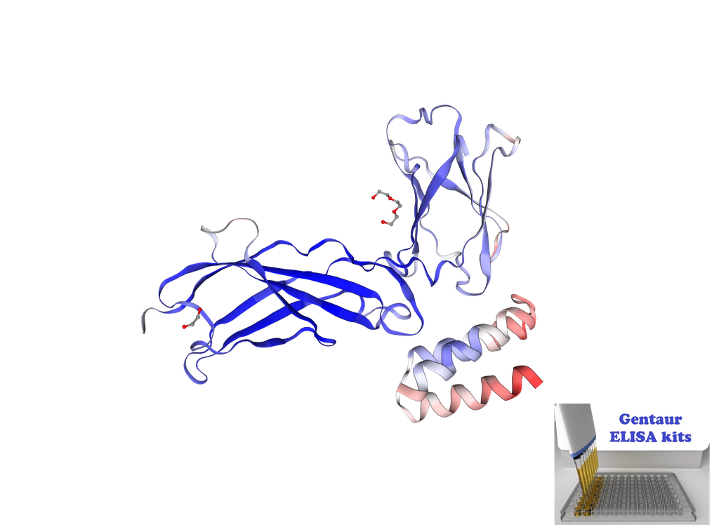 Human Soluble Interleukin-7 Receptor (sIL-7R) ELISA Kit - 96 wells plate