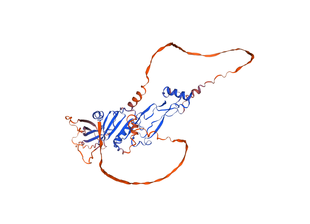 Recombinant Human Growth/differentiation factor 9 (GDF9), Expression: E.coli, Tag: N-terminal GST, 20 ug