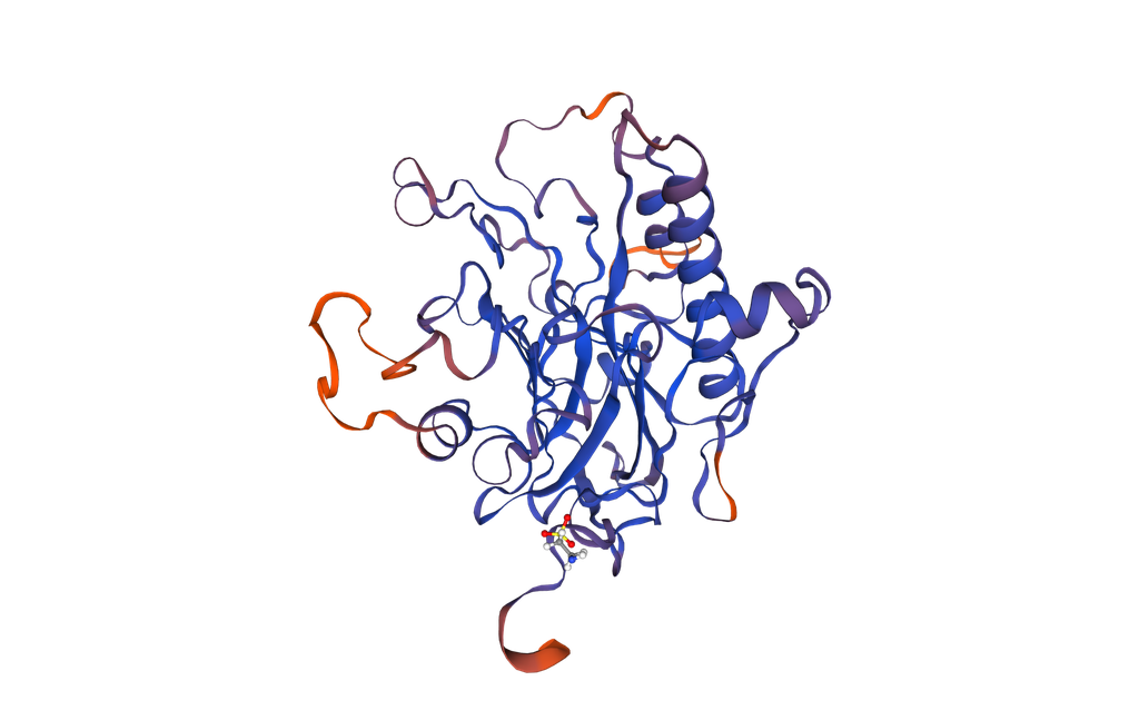 APEX2 (NM_014481) Human Recombinant Protein - 100 ug