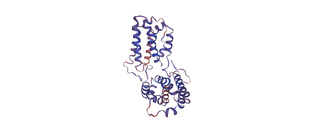 [0399-CSB-MP011580MOWd9-100UG] Recombinant Macaca mulatta Interleukin-10 (IL10) - 100 ug