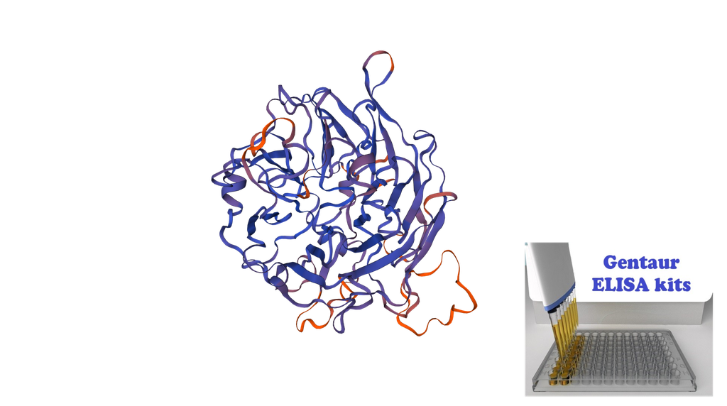 Human Selenium-binding Protein 1, SELENBP1 ELISA Kit - 96 wells plate