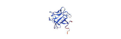 [1048-HYC005M01-50UG] Recombinant Human Basic Fibroblast Growth Factor (OsrhbFGF) - 50 ug