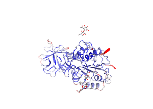 [0399-CSB-EP012903HU-20UG] Recombinant Human Legumain (LGMN) - 20 ug