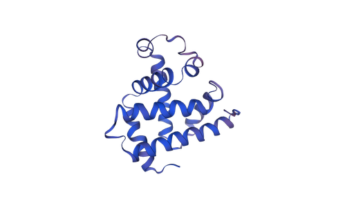 [0399-CSB-EP013529BO] Recombinant Bovine Myoglobin (MB) - 1 mg