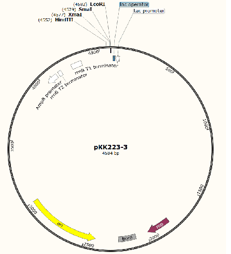 [0820-PVT0825] PKK223-3 plasmid - 2 ug