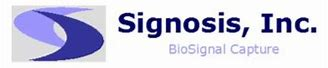 [0350-EA-4003] Mouse Cytokine ELISA Plate Array I (Chemiluminescence), 4 samples