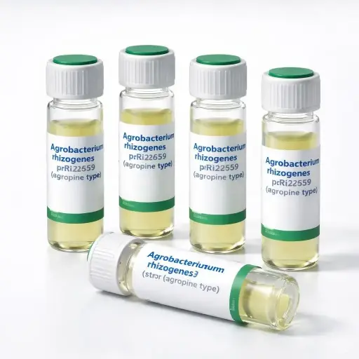 [0774-1087-18] K599 Chemically Competent Agrobacterium rhizogenes (str R) pRi2659 (agropine type) - 18 x 50 µl