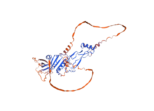 [0399-CSB-EP009352HU-20UG] Recombinant Human Growth/differentiation factor 9 (GDF9), Expression: E.coli, Tag: N-terminal GST, 20 ug