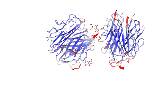 [0544-MBS147305-0.2MG] C1q Native Protein from Human Complement - 0.2mg